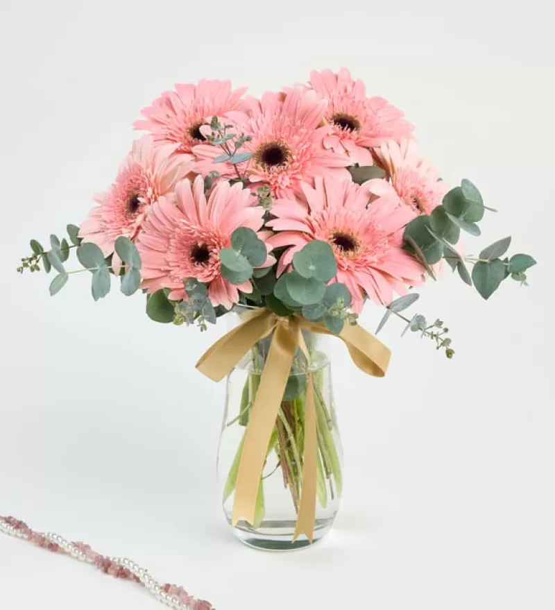 Vazoda Pembe Gerbera
