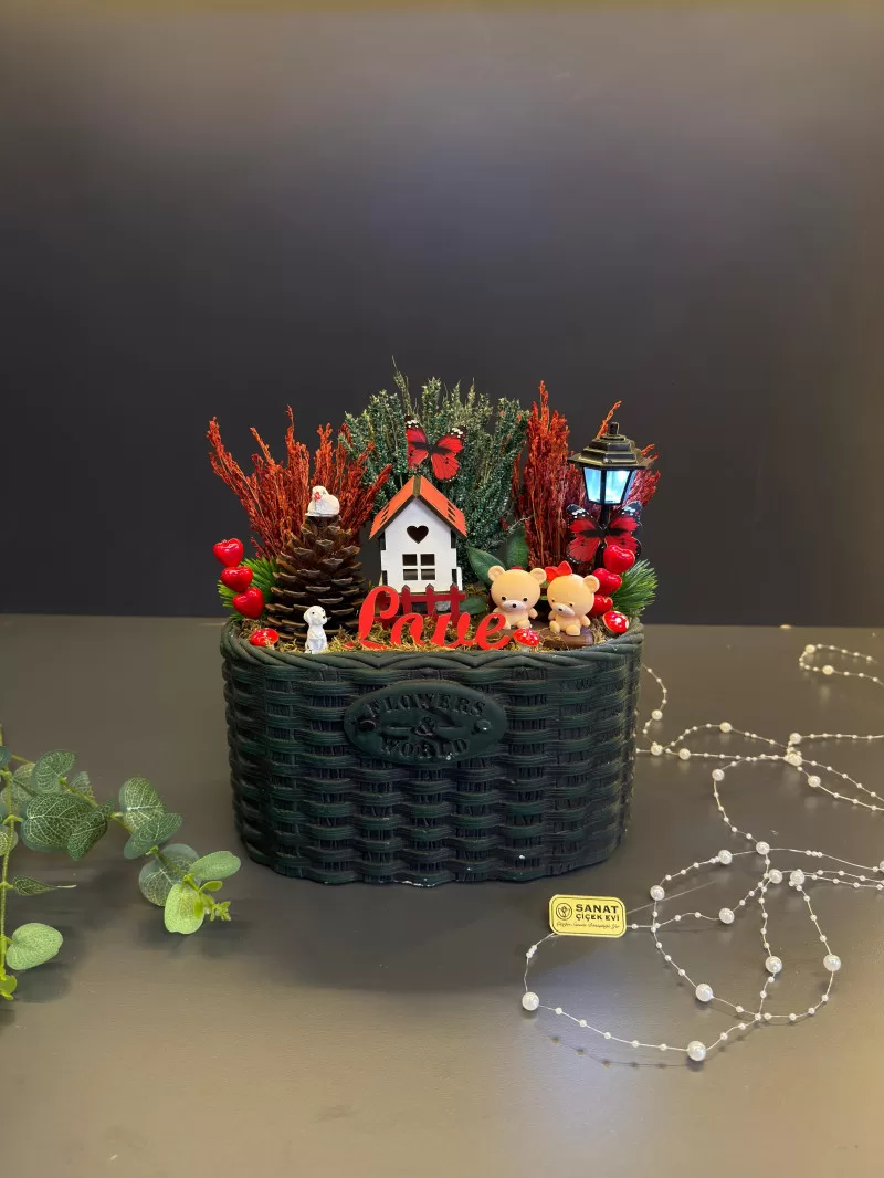 Beton Saksıda Işıklı Mini Bahçe