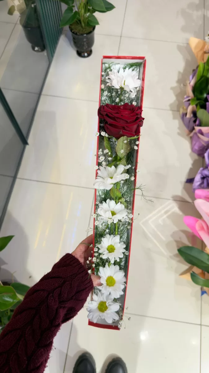 Kutuda Papatya Ve Gül Aranjmanı