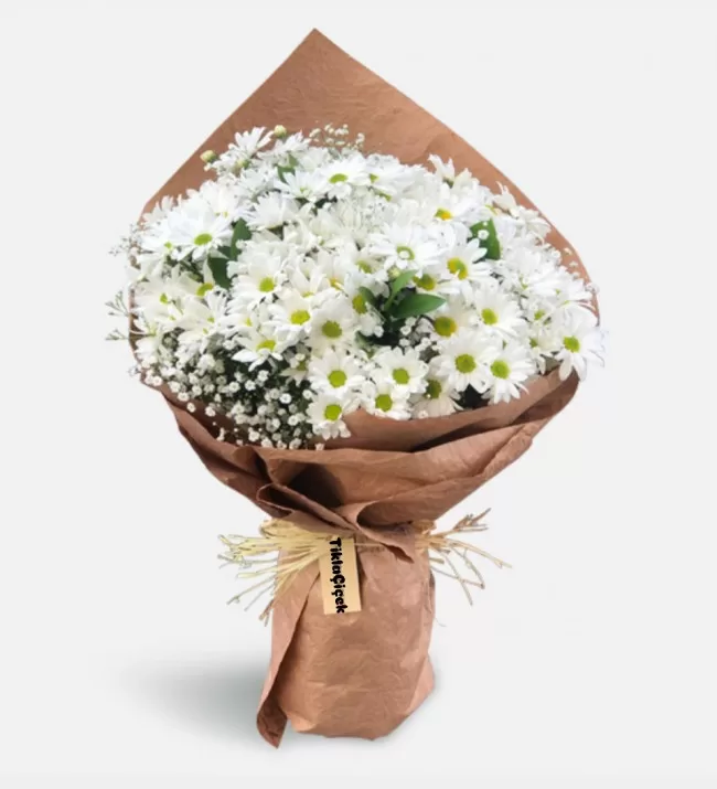 Papatyam