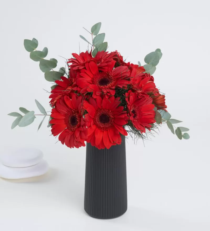 Polimer Vazoda Kırmızı Gerbera